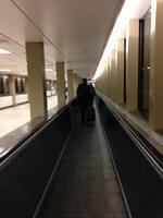 IMG 4150