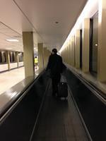 IMG 4153