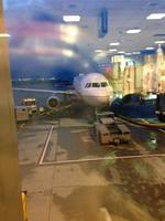 IMG 4297
